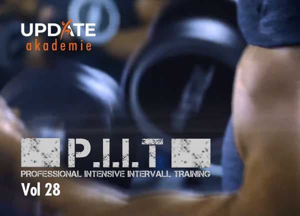 P.I.I.T 28